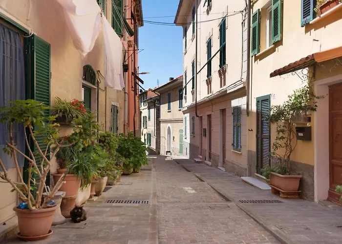 Hemingway's Shelter * Специя